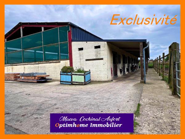 Ecurie avec maison et gîte secteur Verneuil sur Avre