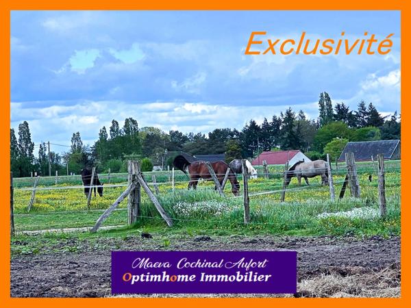 Ecurie avec maison et gîte secteur Verneuil sur Avre