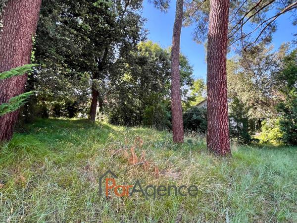 MAISON A RENOVER PARC ROYAN