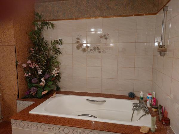 A VENDRE MAISON STYLE ART DECO TROYES(10)