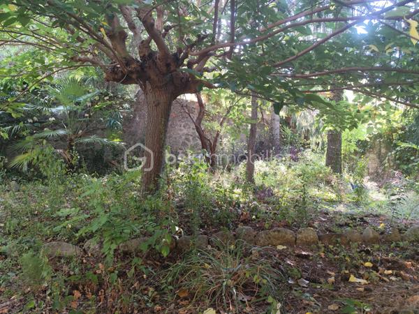 Cette jolie maison des années 70 de 167m2 se compose de 5 chambres, un salon salle à manger, une cuisine, deux salle de bain/d'eau, un garage et un jardin arboré. La maison est sans vis-à-vis grâce à de nombreux arbres et proche des commodités et écoles et offre une jolie vue sur les montagnes.