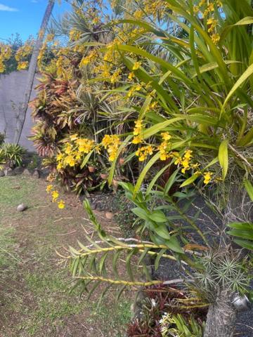 Moudong Sud magnifique villa de standing avec piscine sur 760 m² de terrain