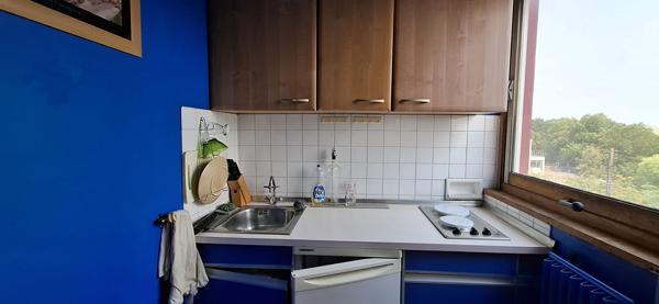 Appartement 1 pièce 29.3 m2 avec cave et stationnement