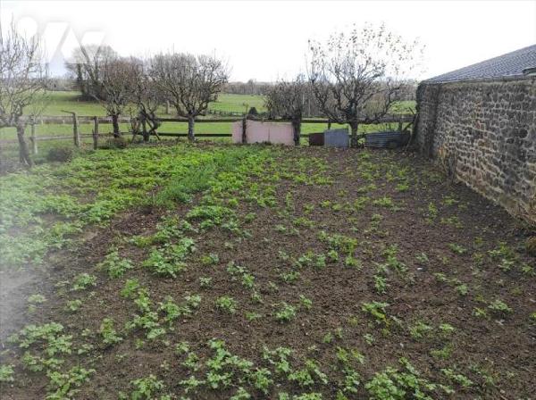 A vendre à Cigné(53), une maison en pierres comprenant une entrée, une cuisine(13.64 m²), salle...