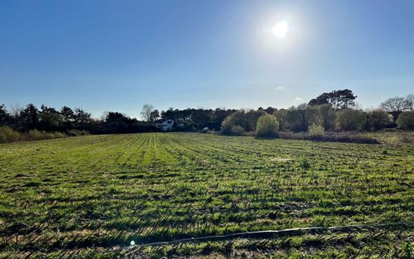 Terrain à vendre    Bénesse-Maremne