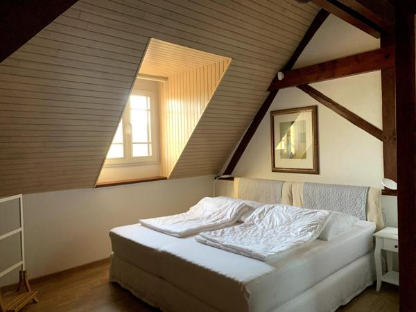 Magnifique ferme Bressane avec étang