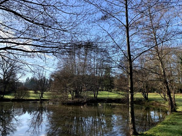 Magnifique ferme Bressane avec étang