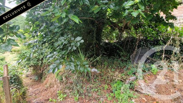 Maison à vendre  3 pièces - 99,90 m2 CASTELNAUD LA CHAPELLE - 24