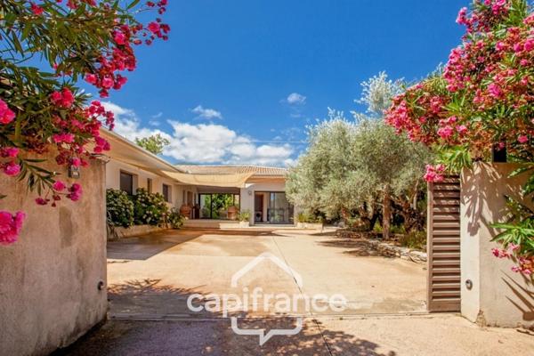 Dpt Corse (20), à vendre VENZOLASCA maison P9 de 265m2 avec piscine