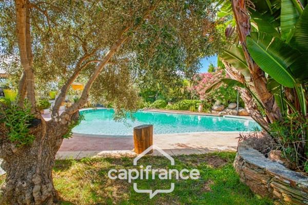 Dpt Corse (20), à vendre VENZOLASCA maison P9 de 265m2 avec piscine