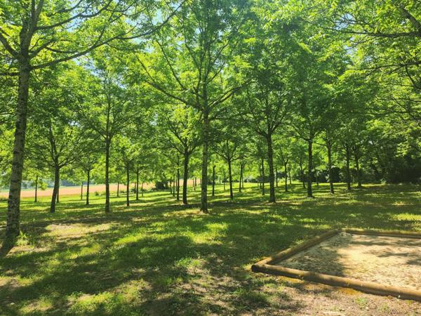 Belle Maison en Pierre - gîte et piscines - à vendre - 6 pièces - proche de VILLEREAL (47)