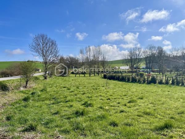 Terrain de 1 195 m²