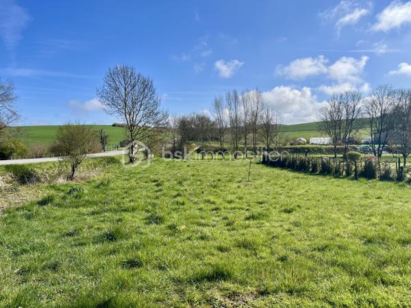 Terrain de 1 195 m²