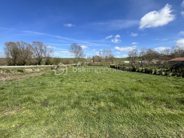 Terrain de 1 195 m²