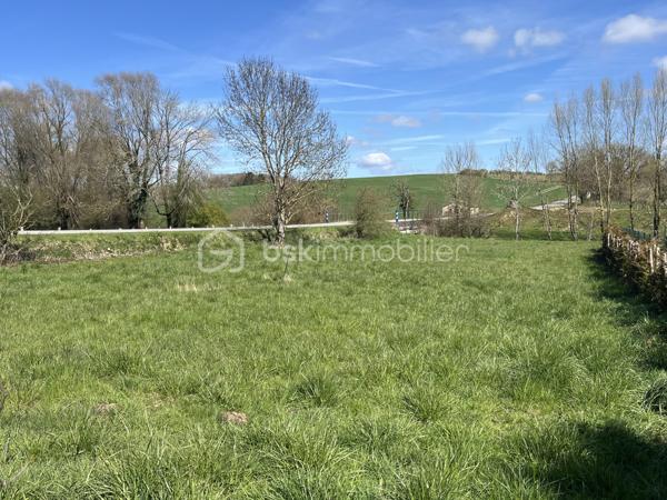 Terrain de 1 195 m²