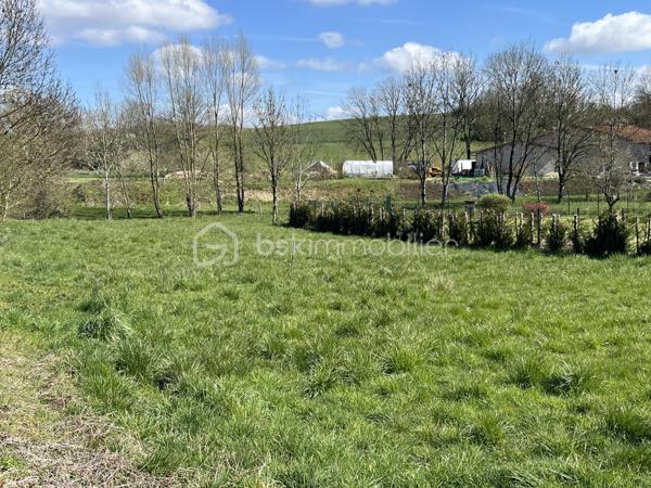 Terrain de 1 195 m²