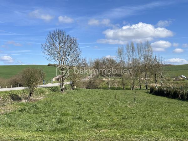 Terrain de 1 195 m²