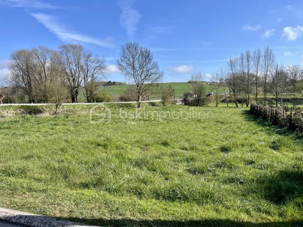 Terrain de 1 195 m²