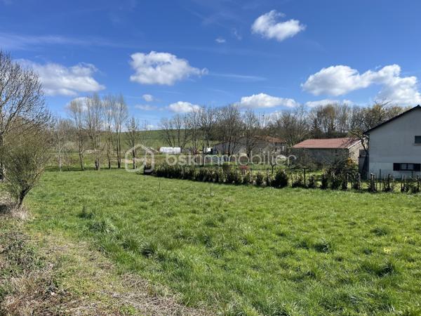 Terrain de 1 195 m²