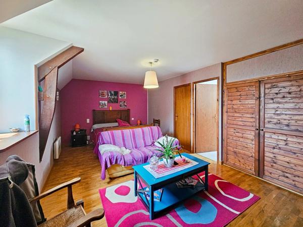 Dpt Hautes Pyrénées (65), à vendre MOMERES maison avec chambres d'hôtes P14 de 453 m² - Terrain de 3 744,00 m²