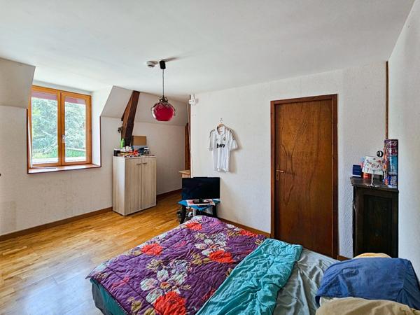 Dpt Hautes Pyrénées (65), à vendre MOMERES maison avec chambres d'hôtes P14 de 453 m² - Terrain de 3 744,00 m²