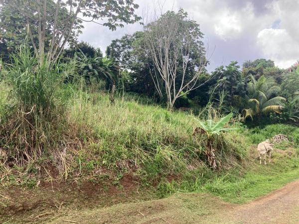 Terrain à vendre SAINT ESPRIT (972)