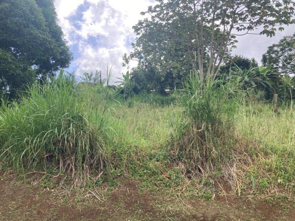 Terrain à vendre SAINT ESPRIT (972)