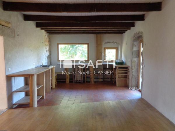 Rare : Maison en pierres dans environnement bucolique