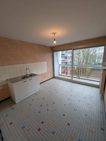 Appartement à vendre 3 pièces 73m2 LINGOLSHEIM (67)
