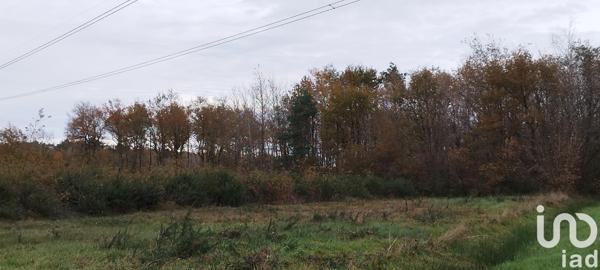 Terrain à vendre 17 682 m² Villefranche-sur-Cher
