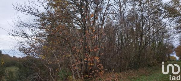 Terrain à vendre 17 682 m² Villefranche-sur-Cher