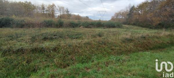 Terrain à vendre 17 682 m² Villefranche-sur-Cher