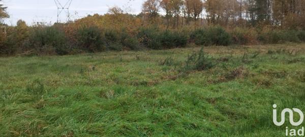 Terrain à vendre 17 682 m² Villefranche-sur-Cher