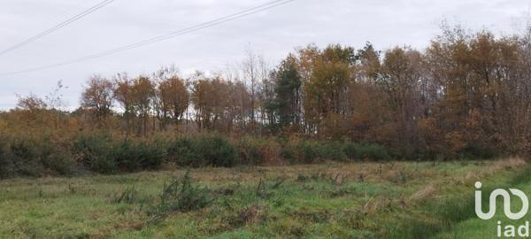 Terrain à vendre 17 682 m² Villefranche-sur-Cher