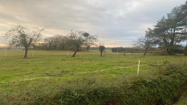 Terrain Ploermel 880 m2