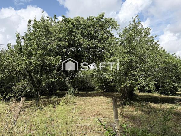 Terrain constructible de 1239 m² à Bersaillin