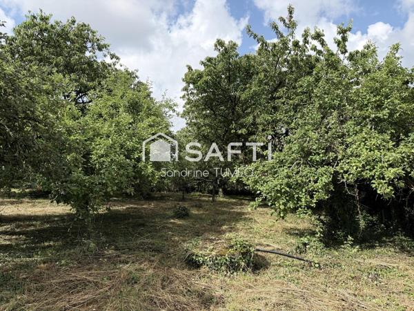 Terrain constructible de 1239 m² à Bersaillin