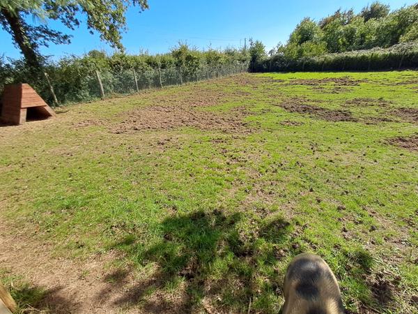 Maison 10 pièce(s) 6 chambre(s) 195 m²