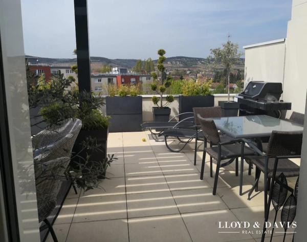 Appartement Toit Terrasse