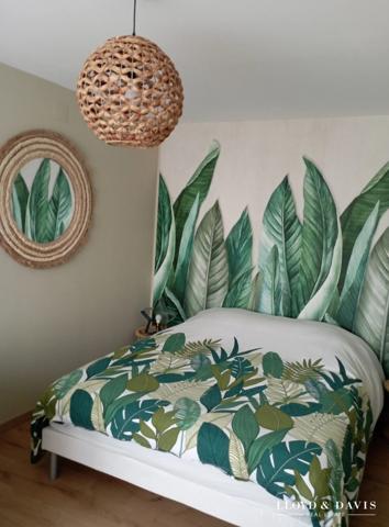 Appartement Toit Terrasse