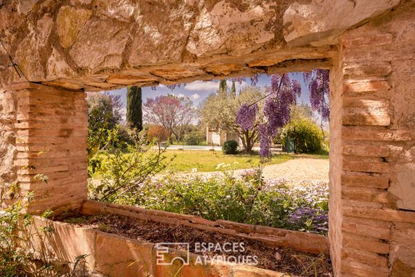 Mas authentique au coeur d’une oliveraie