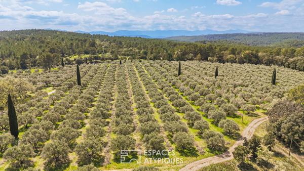 Mas authentique au coeur d’une oliveraie