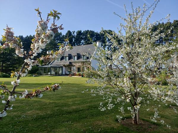 Plougasnou (29630) Plougasnou, le Diben, grande maison 5ch vue mer entièrement rénovée, parc de 5400 m2 constructible.