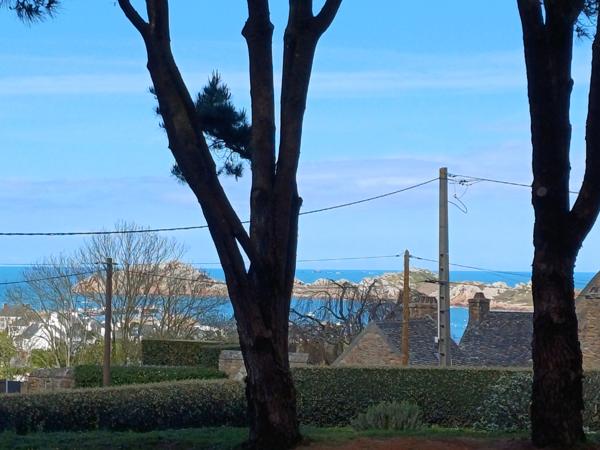 Plougasnou (29630) Plougasnou, le Diben, grande maison 5ch vue mer entièrement rénovée, parc de 5400 m2 constructible.