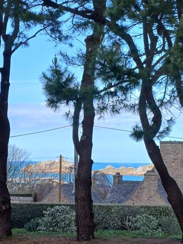 Plougasnou (29630) Plougasnou, le Diben, grande maison 5ch vue mer entièrement rénovée, parc de 5400 m2 constructible.