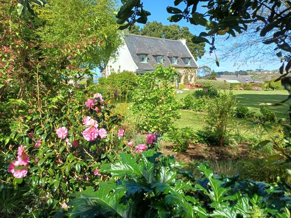 Plougasnou (29630) Plougasnou, le Diben, grande maison 5ch vue mer entièrement rénovée, parc de 5400 m2 constructible.