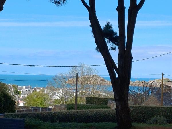 Plougasnou (29630) Plougasnou, le Diben, grande maison 5ch vue mer entièrement rénovée, parc de 5400 m2 constructible.