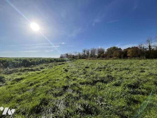 Etang avec îlot à LAON (secteur Ardon Leuilly)