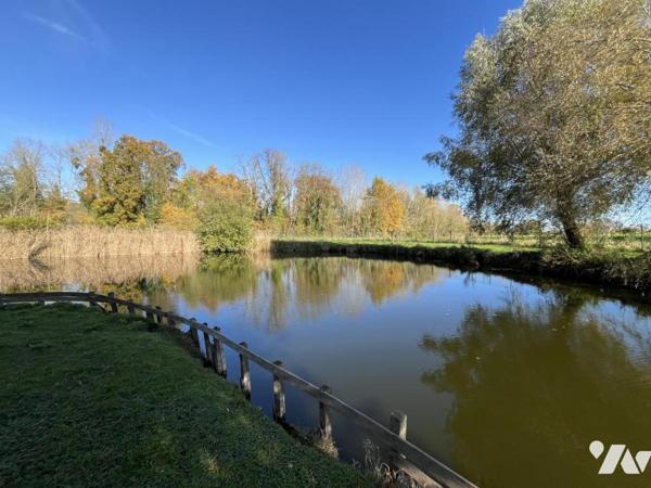 Etang avec îlot à LAON (secteur Ardon Leuilly)