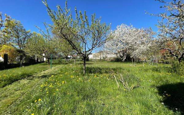 Maison à vendre    4 pièces • 110 m2 Drusenheim